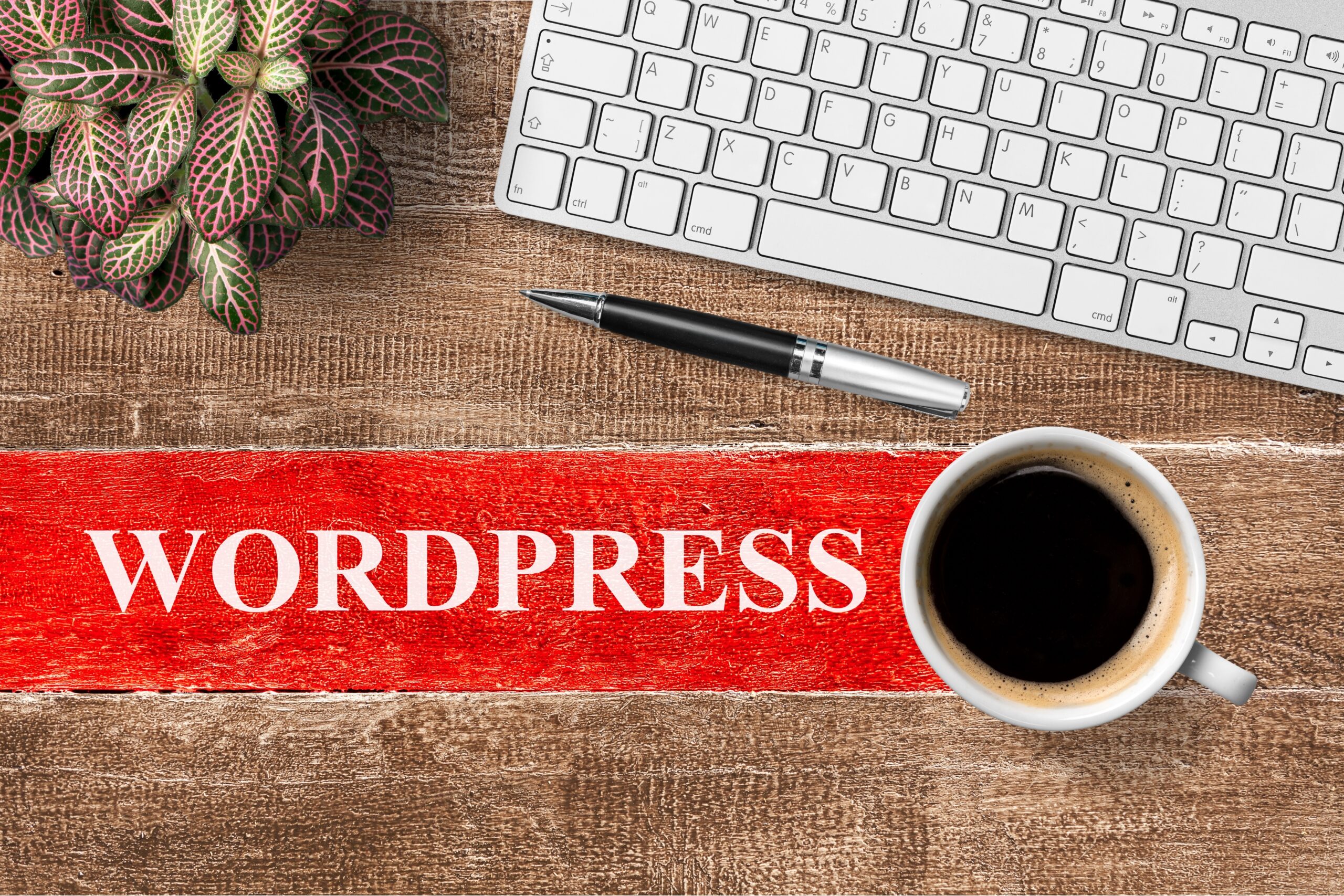 How to Develop a WordPress Website: A Step-by-Step Guide
