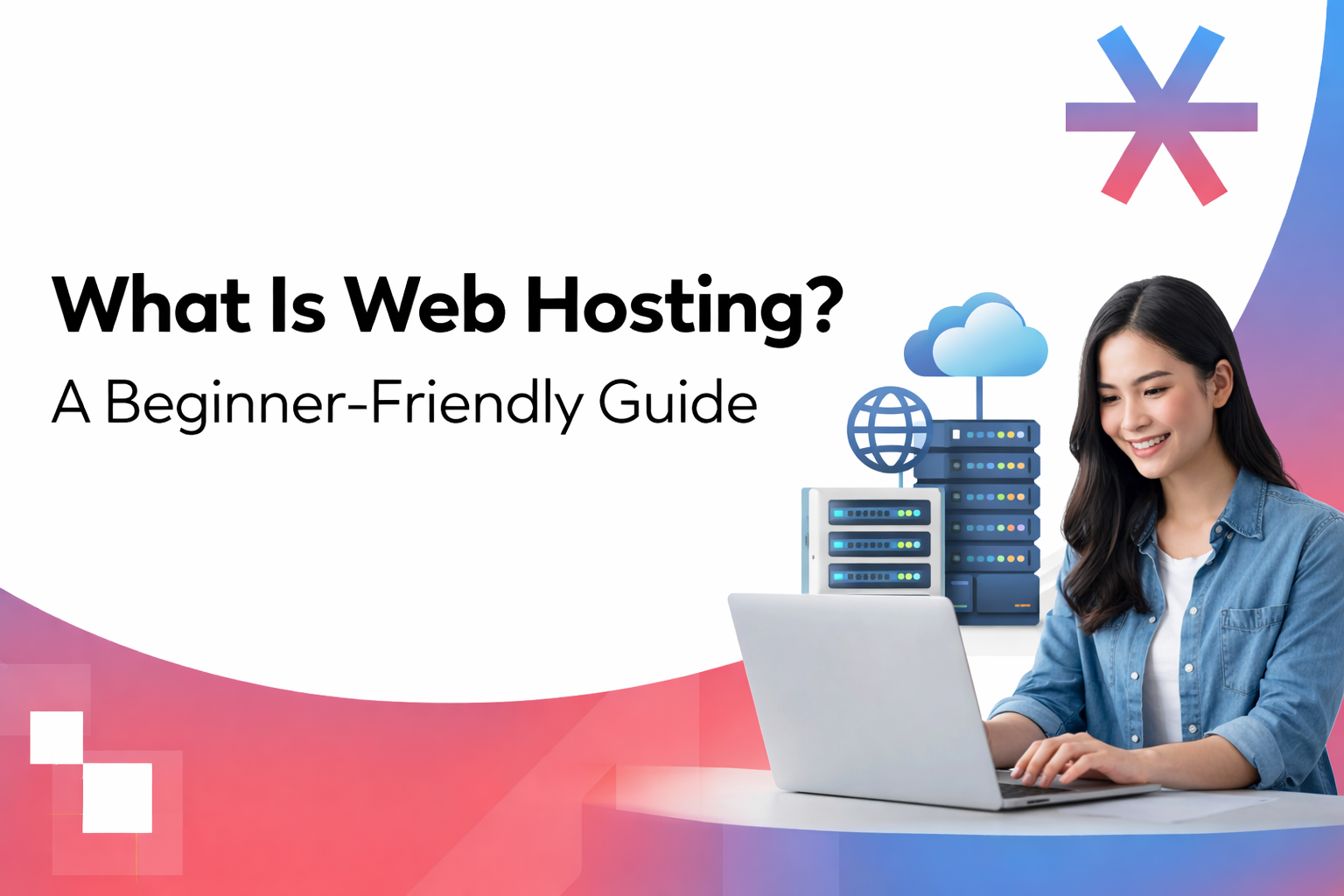 what is web hosting