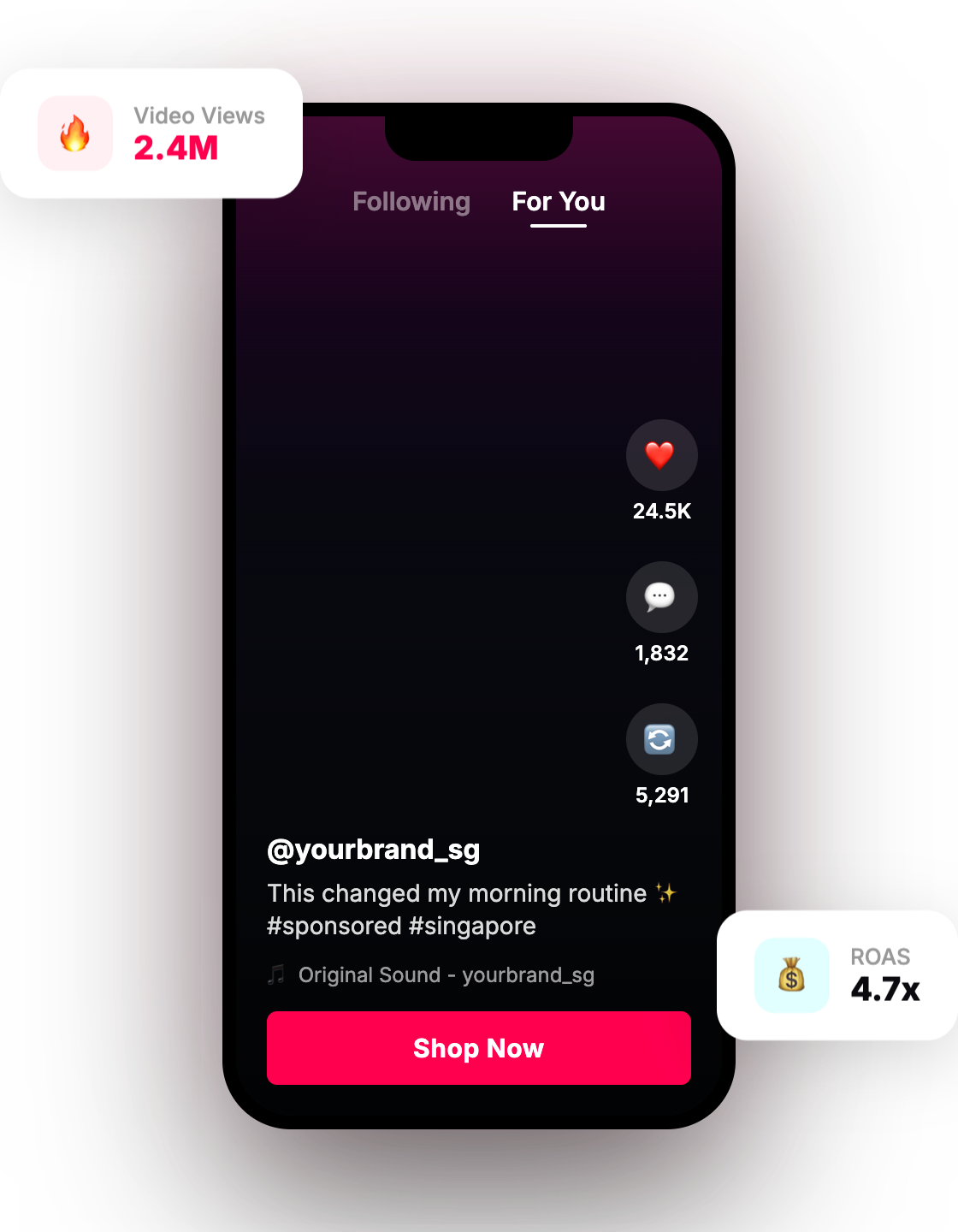 tiktok ads agency
